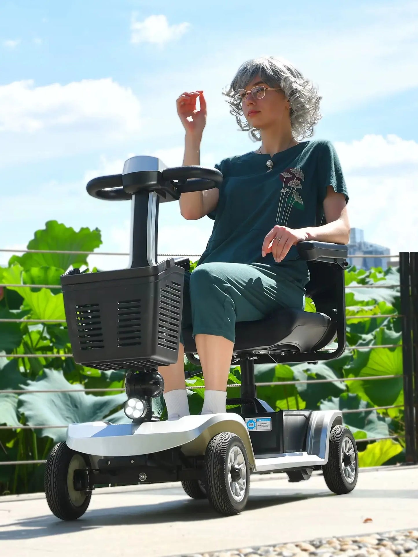 Electric 250W Four Wheel Mobility Scooter For Disabled